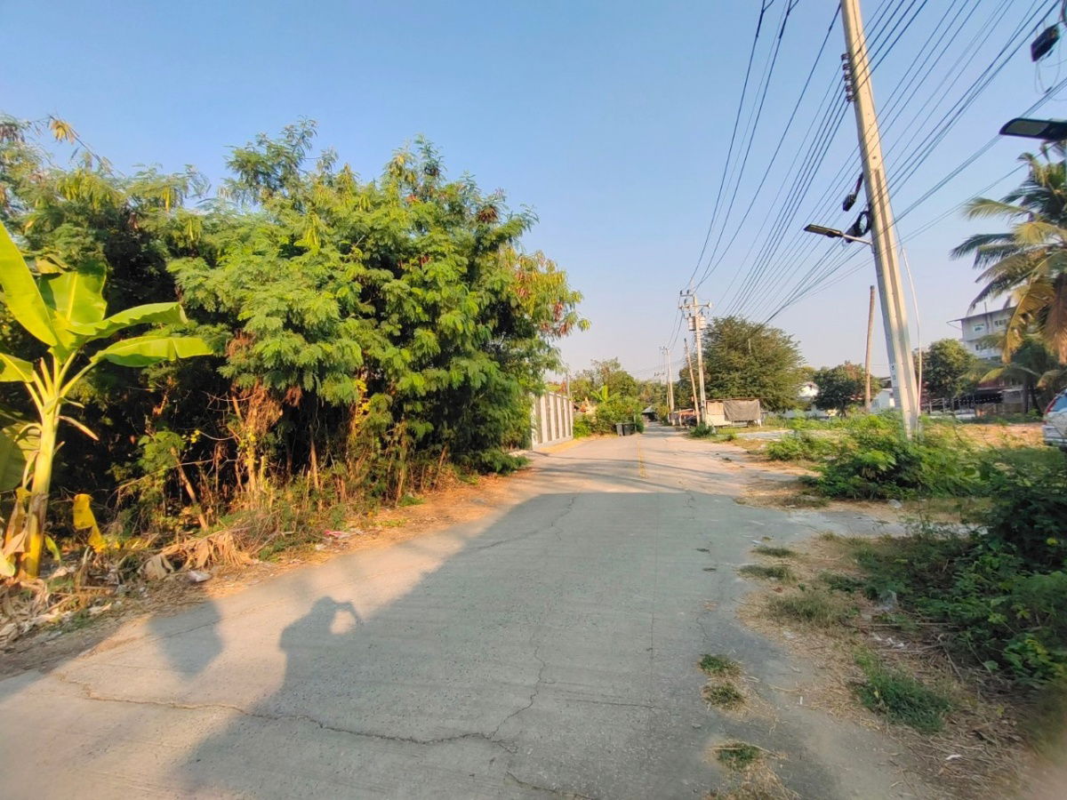 รูป ขายที่ดินทำเลทองพุทมณฑลสาย 1  เนื้อที่ 2 งาน, 8.3 ตร.ว. เขตภาษีเจริญ - รูปที่ 5/13