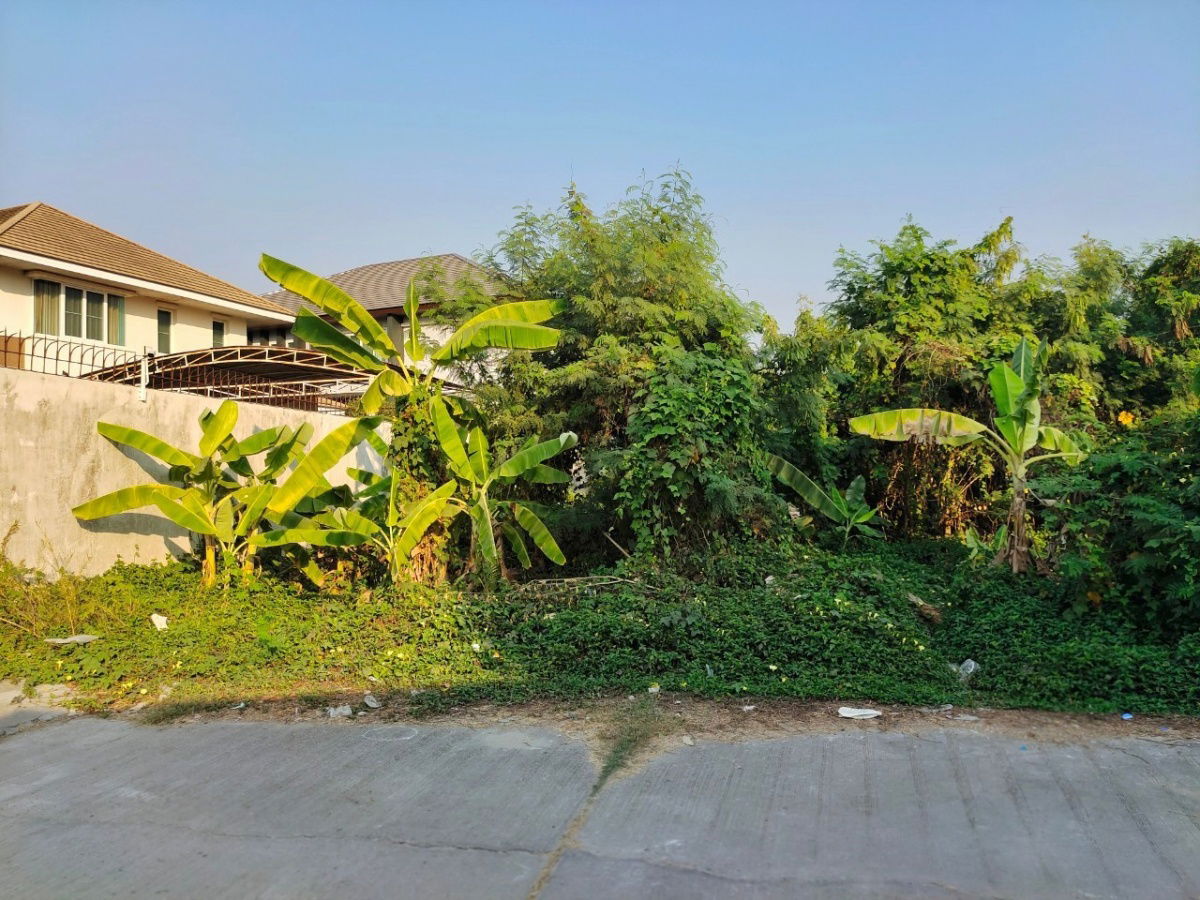 รูป ขายที่ดินทำเลทองพุทมณฑลสาย 1  เนื้อที่ 2 งาน, 8.3 ตร.ว. เขตภาษีเจริญ - รูปที่ 9/13