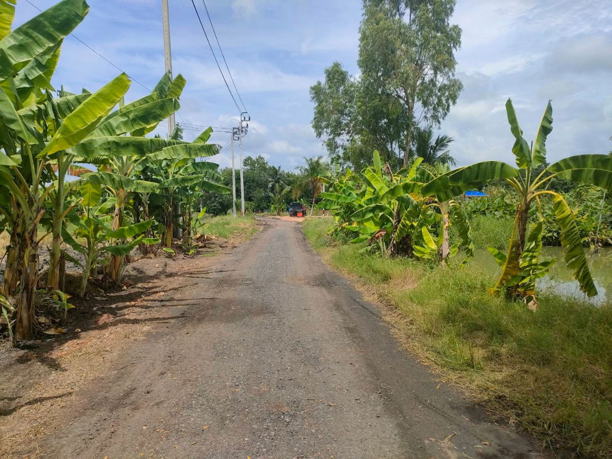 picture Vacant land for sell Nong Chok District Bangkok - 11/11