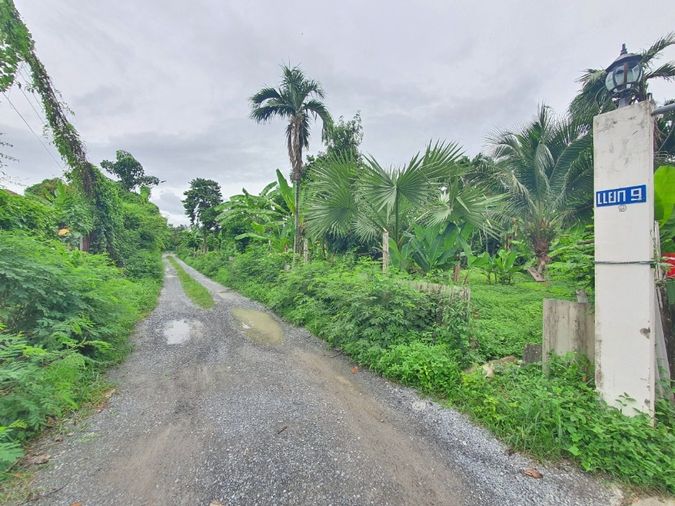Land for sale, 110.8 sq wah, Bangkok Noi