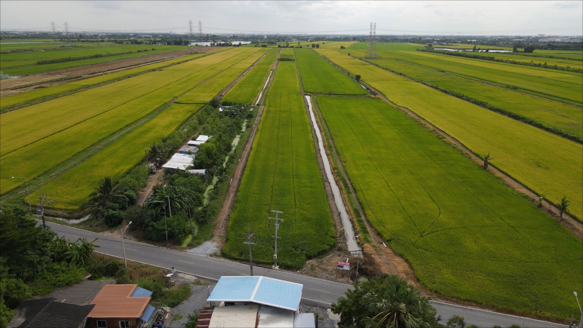 รูป  ขายต่ำกว่าราคาประเมินรัฐ 9-1-80 ไร่ ลำลูกกา คลอง 8 - รูปที่ 16/19