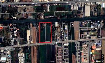 ที่ดิน ลำลูกกา คลองหก : ขายที่ดินปทุมธานี อำเภอลำลูกกา คลอง6 25ไร่. ใกล้ทางขึ้นลงวงแหวนกาญจนาภิเษก