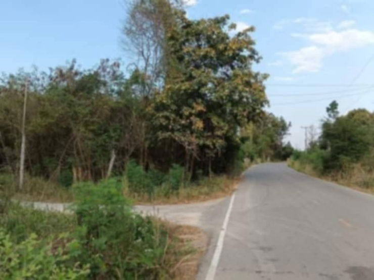 picture Land for sale, suitable for farming, beautiful, next to the road - 4/9
