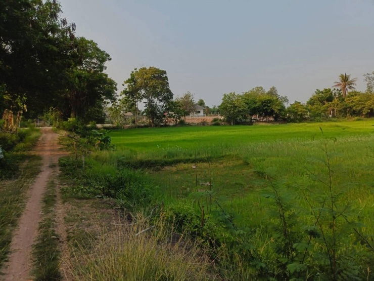 picture Beautiful area with a view, very natural. - 4/9