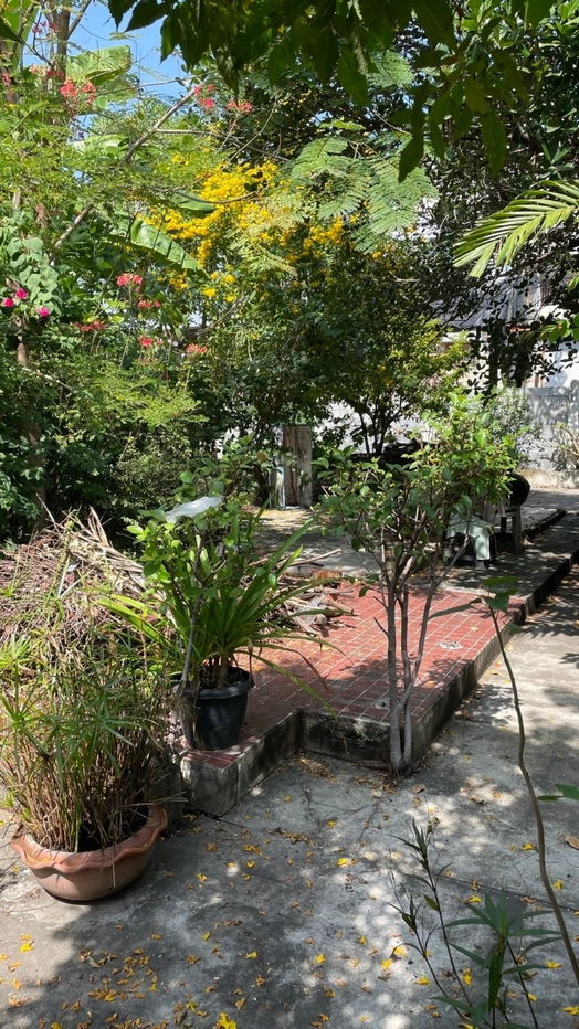 รูป ที่ดินเปล่า 81 ดารางวา ในชอยเทอดไท 51 ใกล้โรงพยาบาล พญาไท 3 - รูปที่ 4/5