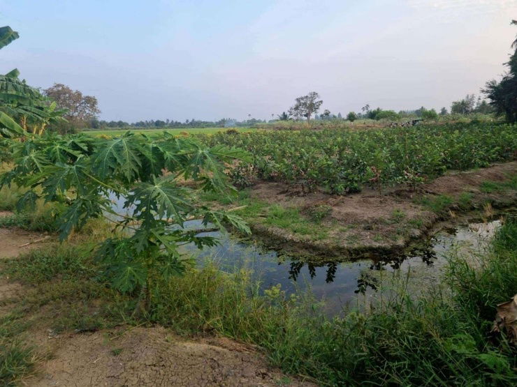 picture Land for sale, 7 rai, 1 ngan, 85 square wa, very beautiful plot. - 7/7