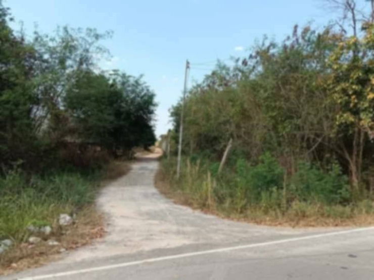 picture Land for sale, suitable for farming, beautiful, next to the road - 2/9