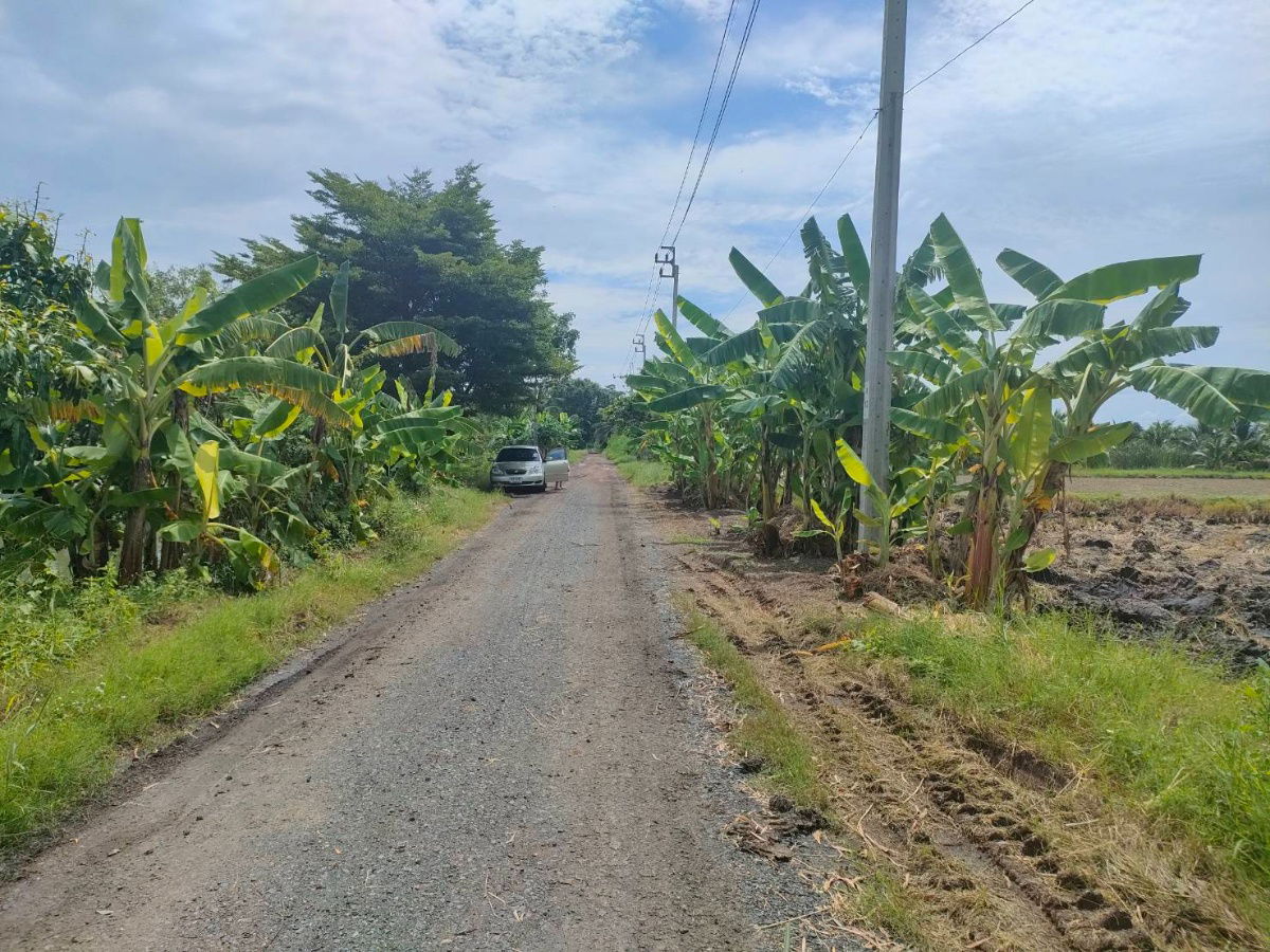 picture Vacant land for sell Nong Chok District Bangkok - 4/11