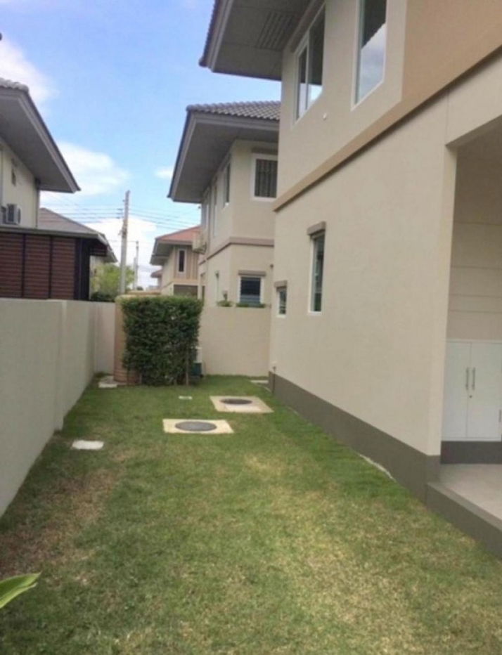 รูป ให้ เช่า บ้านเดี่ยว M1282 คณาสิริ บางนา 113 ตรม 50 ตรว - รูปที่ 3/12