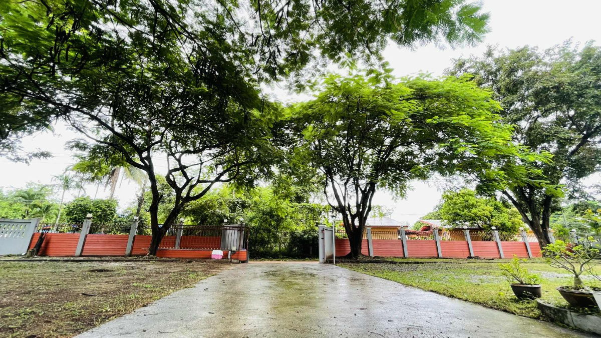 picture Private garden villa for  sale Large detached house with a 1.5-story layout, 3 bed rooms 3 bath rooms - 23/29