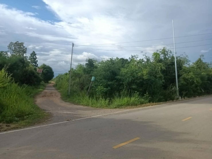 picture Land for sale, suitable for farming, beautiful, next to the road - 1/9