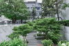 listing thumbnail image 5