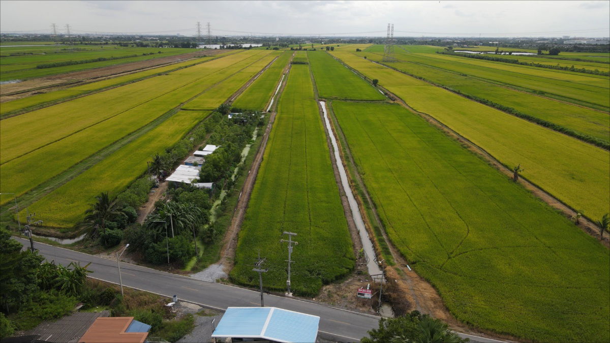 รูป  ขายต่ำกว่าราคาประเมินรัฐ 9-1-80 ไร่ ลำลูกกา คลอง 8 - รูปที่ 17/19