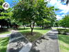 listing thumbnail image 31