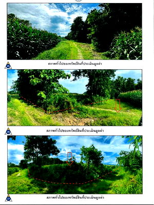 Land for sale Chiang Rai : Land for sale, large, beautiful plot, next to a rural highway, suitable for a hotel or resort, Doi Hang, Muang Chiang Rai District, 150 rai