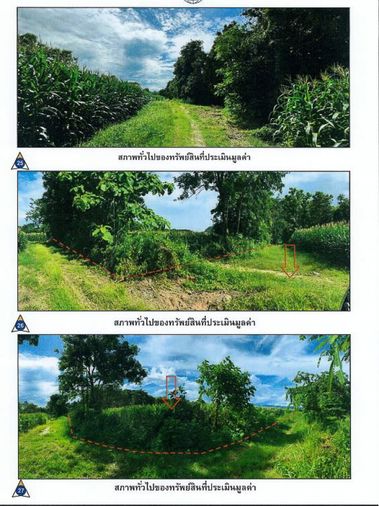 Land for sale, large, beautiful plot, next to a rural highway, suitable for a hotel or resort, Doi Hang, Muang Chiang Rai District, 150 rai