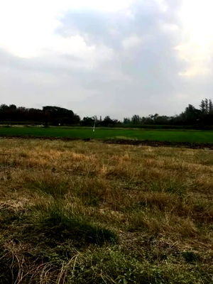 ที่ดิน นิคมแก่งคอย : ขายที่ดินโซนอุตสาหกรรม – พื้นที่สีม่วงอมแดง (บานเย็น) อ.แก่งคอย จ.สระบุรี