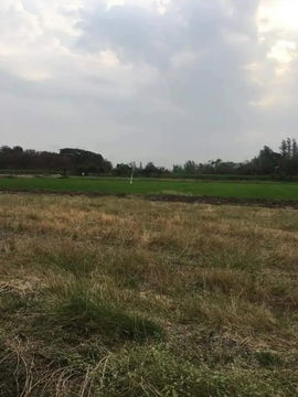 ขายที่ดินโซนอุตสาหกรรม – พื้นที่สีม่วงอมแดง (บานเย็น) อ.แก่งคอย จ.สระบุรี