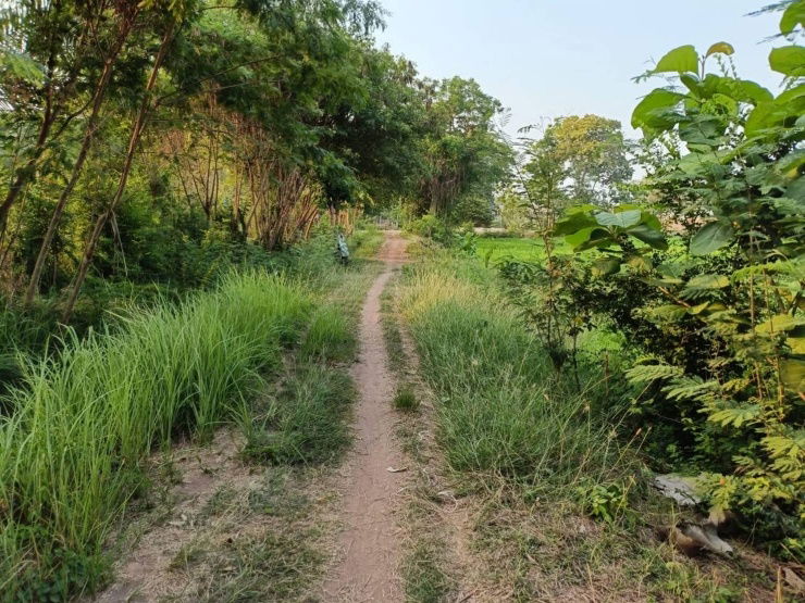 picture Beautiful area with a view, very natural. - 7/9
