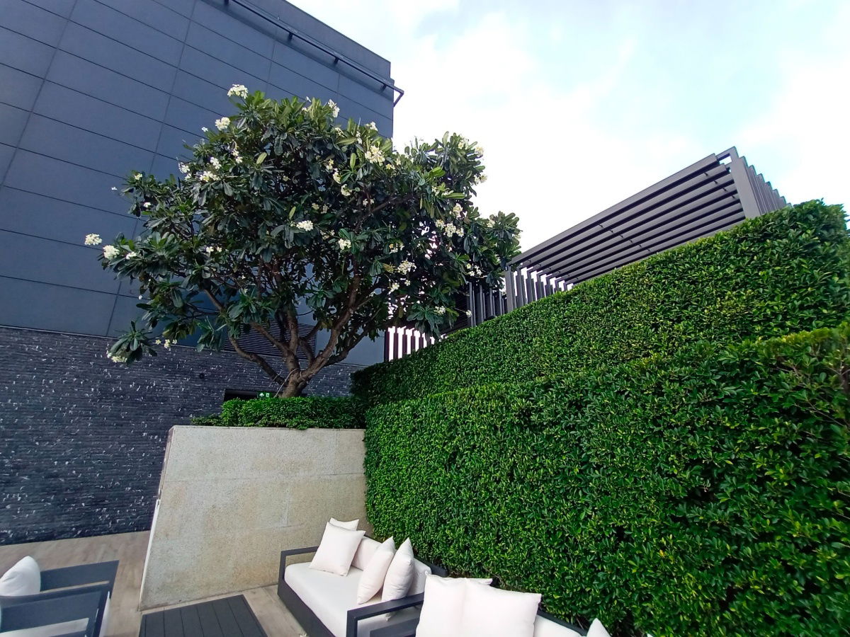 รูป Four Seasons Private Residences ( Luxury Condo next to the Chao Phraya River ) - รูปที่ 21/81