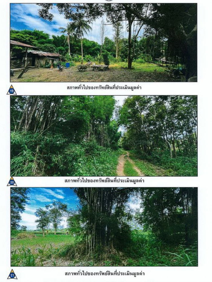 picture Land for sale, large, beautiful plot, next to a rural highway, suitable for a hotel or resort, Doi Hang, Muang Chiang Rai District, 150 rai - 3/10