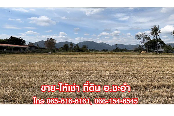 รูป ขายที่ดินเปล่า 3 ไร่ ชะอำ เพชรบุรี ที่สวย ใกล้หัวหิน - รูปที่ 2/4