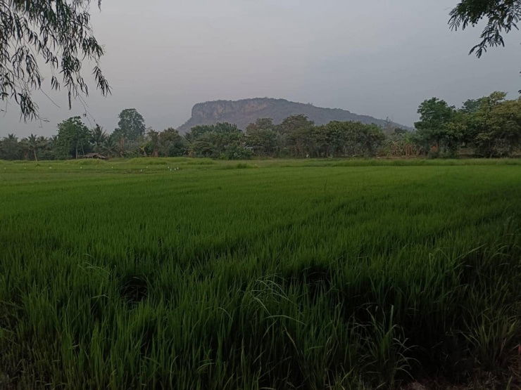 picture Beautiful area with a view, very natural. - 5/9