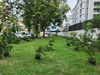 listing thumbnail image 25