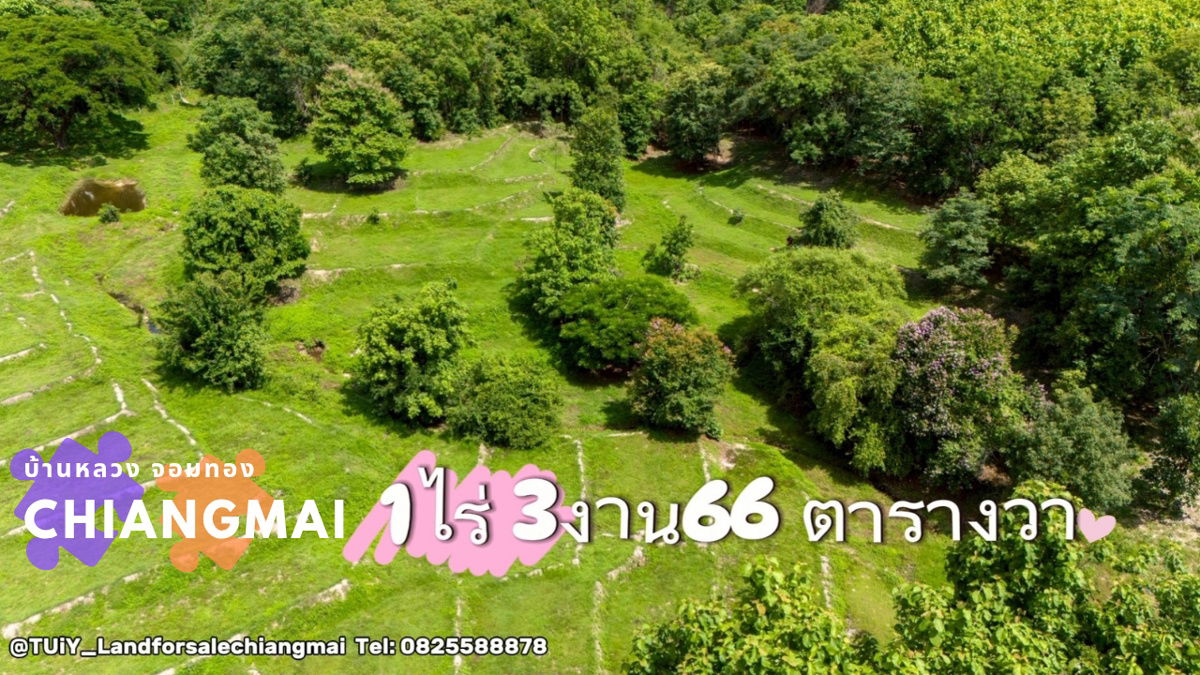 รูป โปร 9.9 ราคาพิเศษ✨️ ขายที่ดินสร้างบ้านพักตากอากาศ ปลูกบ้านและทำเกษตรได้  1ไร่ 3งาน  66 ตารางวา พิกัด อำเภอจอมทอง จังหวัดเชียงใหม่ - รูปที่ 1/4