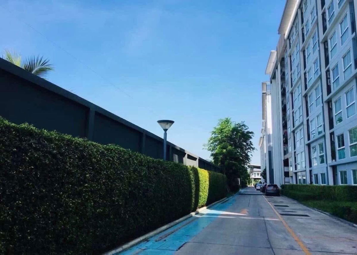 picture  𝗜𝗿𝗶𝘀 𝗪𝗲𝘀𝘁𝗴𝗮𝘁𝗲 𝗕𝗮𝗻𝗴𝘆𝗮𝗶 for rent ✨ Fully furnished - 10/10