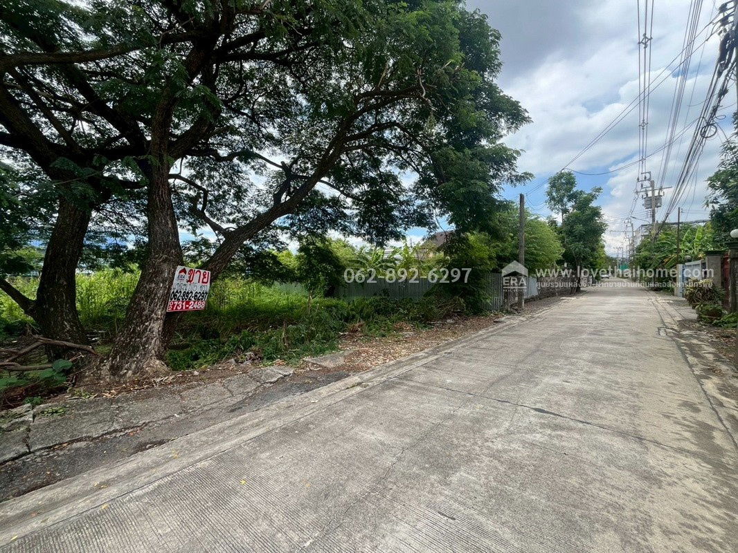 รูป ขายที่ดิน ซอยเพชรเกษม108/5 ถ.พุทธมณฑลสาย4 หนองแขม ขนาด 205 ตารางวา ขาย 25,000 บาท/ตรว. ที่สวยทำเลดี ใจกลางกรุง สนใจโทร. 062-892-6297 - รูปที่ 5/11
