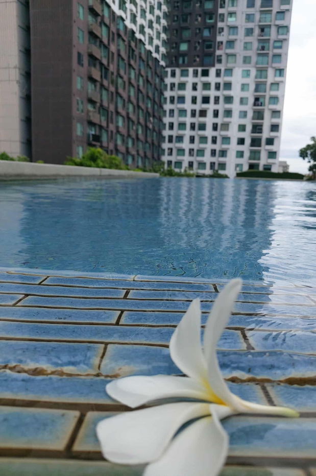 picture Condo for rent close to APL Ramkhamhaeng - 5/5