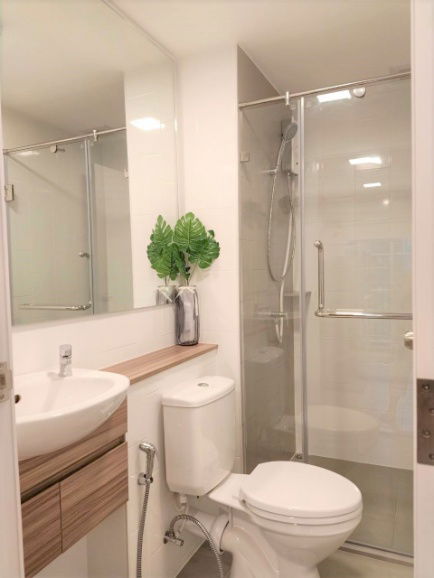 picture Plum Condo Rangsit Alive for rent - 11/21
