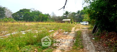 Land for sale Sanpatong Hang Dong Bypass  : 8,000 m² Land for Sale in Thung Satok (ID 1109233)
