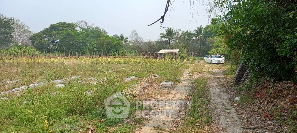 picture 8,000 m² Land for Sale in Thung Satok (ID 1109233) - 1/6