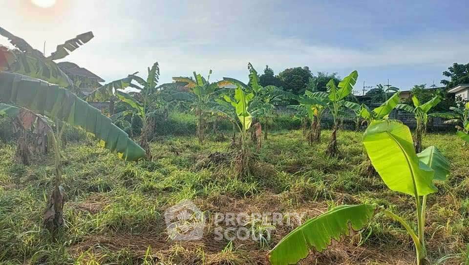 picture 4,040 m² Land for Sale close to Central Pattaya (ID 2139226) - 3/7