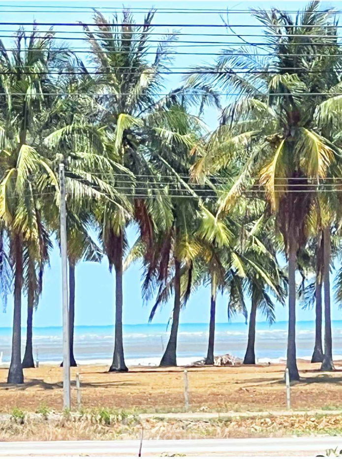 picture 16,000 m² Land for Sale in Kui Nuea (ID 1375775) - 4/6