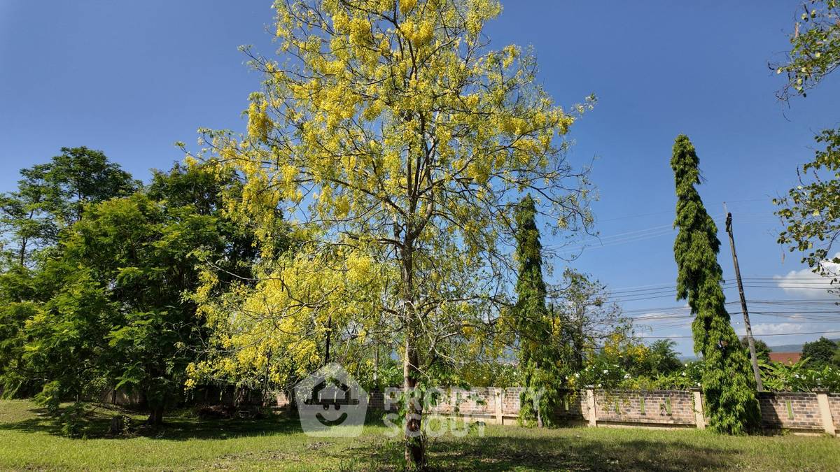 picture 12,436 m² Land for Sale in Rim Tai (ID 2093945) - 8/9