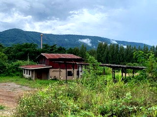 Land for sale Nakhon Ratchasima : land for sale in khaoyai good ozone for life
