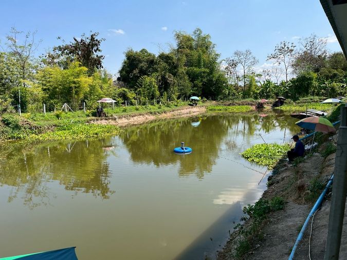 Call : 085-614-9224 ขายที่ดินพร้อมฟาร์มปลา (ปลาพลวงชมพู/ปลาเวียน มีที่เดียวในโลก) สิ่งปลูกสร้าง ตำบลหนองหนาม เมืองลำพูน