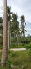 listing thumbnail image 11