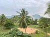 listing thumbnail image 24