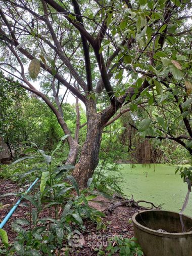 Land for sale, 1400 sq wah, Sai Mai