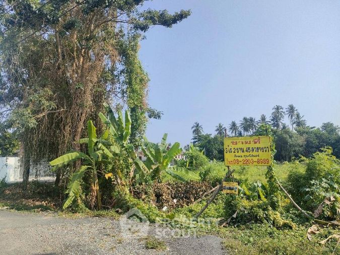 Land for sale, 1445 sq wah, Bang Khae