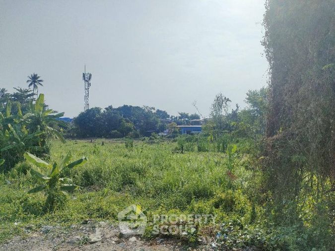 Land for sale, 1445 sq wah, Bang Khae