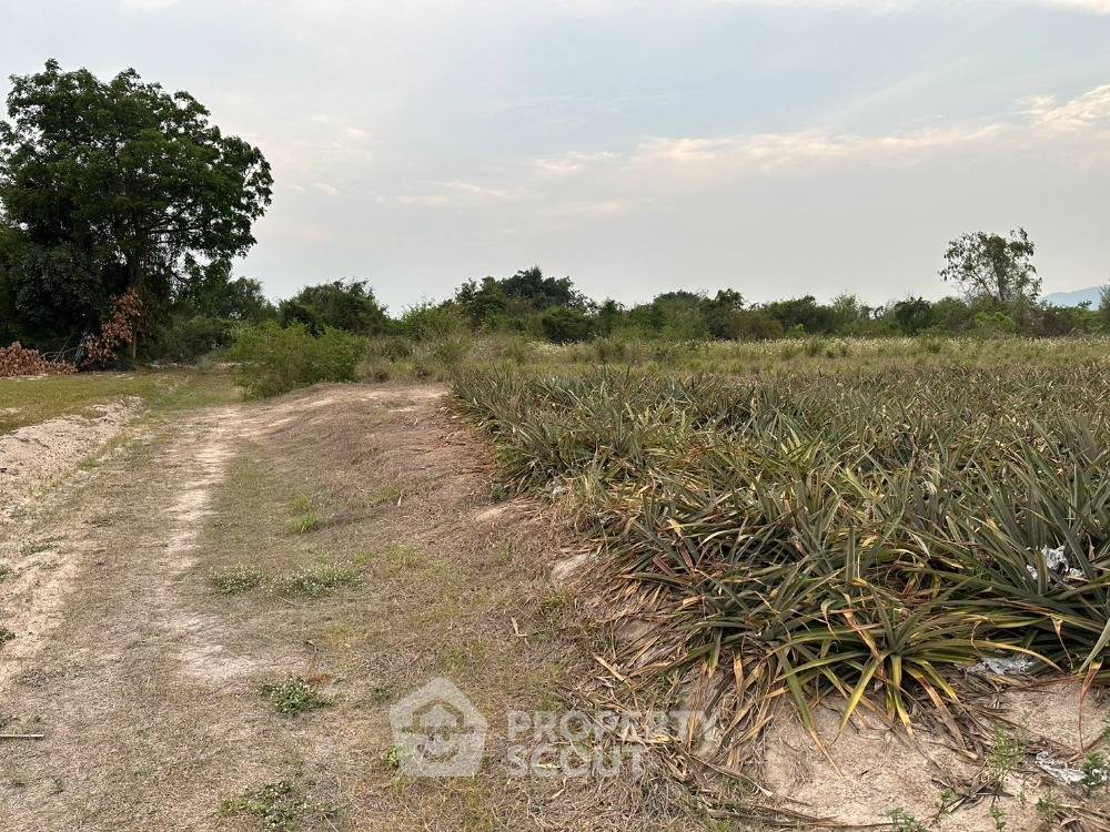 picture 43,064 m² Land for Sale close to Phetchaburi Railway Station (ID 1960381) - 15/23