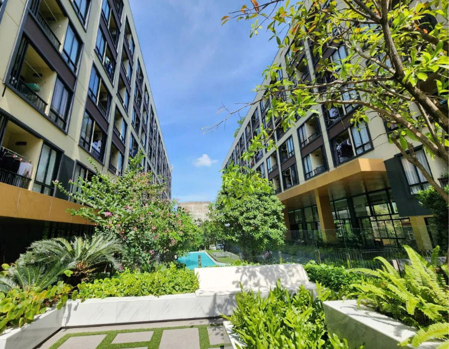 รูป **สถานะตามภาพปก ห้องว่างครับผม 2 ห้องนอนห้องมุม** ให้เช่า Plum Condo Saphanmai Station  BTS สะพานใหม่ เพียง 400 เมตร - รูปที่ 11/14