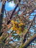 listing thumbnail image 13
