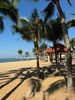 listing thumbnail image 18