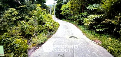 ที่ดิน เกาะสมุย สุราษฎร์ธานี : ที่ดินสำหรับปล่อยขาย 11,116 ตารางเมตร แถว ใน ลิปะน้อย (ID 2190816)